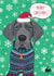 fun christmas jumper Christmas Card 1481 created by Rose Hill Designs