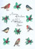 Christmas Bird Card 22346 created by Anna Stankevich
