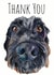 dog thank Thank You Card 1579 created by Jo Scott Art