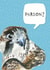 falcon perregrin Card 29860 created by Little Birds Talk + Paper Hawk