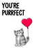 Cute Cat Pun Anniversary Card / Valentines Day Card - You're Purrfect created by Doodlecats