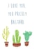 Funny Cactus Succulent Birthday Card created by Anne Berry