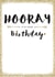 HOORAY BIRTHDAY Birthday Card 2795 created by Always Sparkle