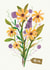 flower bouquet Mothers Day Card 1059 created by Bethany Christou