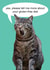 Cat funny Humour Card 7872 created by kissmekwik