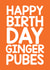 Ginger Pubes Birthday Card 8519 created by Thirty Mussels