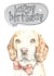dog beagle Birthday Card 8293 created by Dotty Dog Art