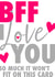 Bff best Birthday Card 31182 created by Silly Sentiments
