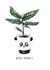 Cute Panda Pot New Home Card - House Plant - New Home created by Harriet Lowther