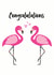 Pink flamingos - congratulations design created by Chameleon and Co