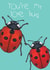 love ladybird Card 33232 created by Charlie - Cherry Pie Lane