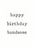 happy handsome Birthday Card 11040 created by The Two Wagtails