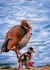 Friendship egyptian goose Card 33459 created by Patricia Naish Pet Photography