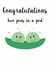 congratulations twins Card 31424 created by CREASHAN