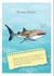 whlae shark Card 34375 created by Ceri Thomas