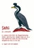 shag bird Card 32882 created by Newton and the Apple
