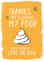 DOG POOP Birthday Card 12194 created by High Five Prints Co