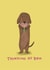 sausage dachshund Thinking of you Card 7728 created by Faye Finney
