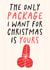 The Only Package I Want For Christmas Is Yours - Funny Christmas Card For Him created by Studio Doodles