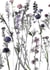 floral flowers Card 22686 created by Katie Tomlinson