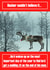dasher couldn't Christmas Card 12368 created by Oh So Cheeky
