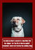 dog mum Card 35048 created by Oh So Cheeky