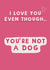 Funny cute Valentine / Anniversary card - love you even though you’re not a dog created by Giddy Kipper