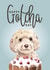 Cockapoo cockerpoo Just because Card 14749 created by Inkwells Creations