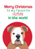 english bulldog dog Christmas Card 25147 created by Pet Friendly