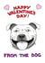 staffie staffordshirebullterrier Valentines Day Card 24611 created by Off The Leash Cartoons by Rupert Fawcett