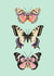 butterfly butterflies Card 22450 created by Andrea Lauren