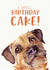 Border Terrier Birthday Card 1000 created by Jo Scott Art