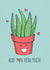 Aloe You Vera Much created by Tami Boyce