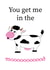 cow mood Valentines Day Card 40589 created by Eilidh Murphy