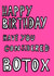 have you considered Birthday Card 16608 created by DiplodocusDesigns