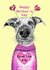 Funny Lurcher Mother's Day Card created by sarahcoxartwork