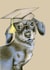 sasuage dog adult Graduation Card 1516 created by DECKLED EDGE LTD