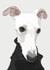 pet whippet Birthday Card 16835 created by Higgledy Pets