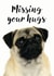 pug hugs Just because Card 9901 created by Jon Hall Design