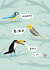 bird pun Birthday Card 1136 created by Sophie Corrigan