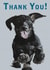 Thank you dachshund Card 25891 created by Periodic Society