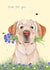 dog flowers Just because Card 1760 created by Katie Corrigan