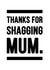 Thanks For Shagging Mum Father's Day Card. created by YOUR NAN.