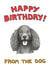 Dogs cockerspaniel Birthday Card 1965 created by Off The Leash Cartoons by Rupert Fawcett