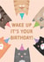 cats funny Birthday Card 17649 created by Studio Mads