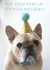frenchie bulldog Birthday Card 14096 created by Sofia Wåhlin