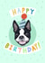 dog boston terrier Birthday Card 19013 created by Penelope Nutmeg