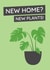 new home new house New Home Card 7666 created by Sunnyside Design