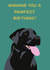 Black Labrador birthday card, wishing your lab loving friend a Pawfect day created by Rae of Sunshine