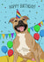 dog staffie Birthday Card 11766 created by Evie Garnett Designs